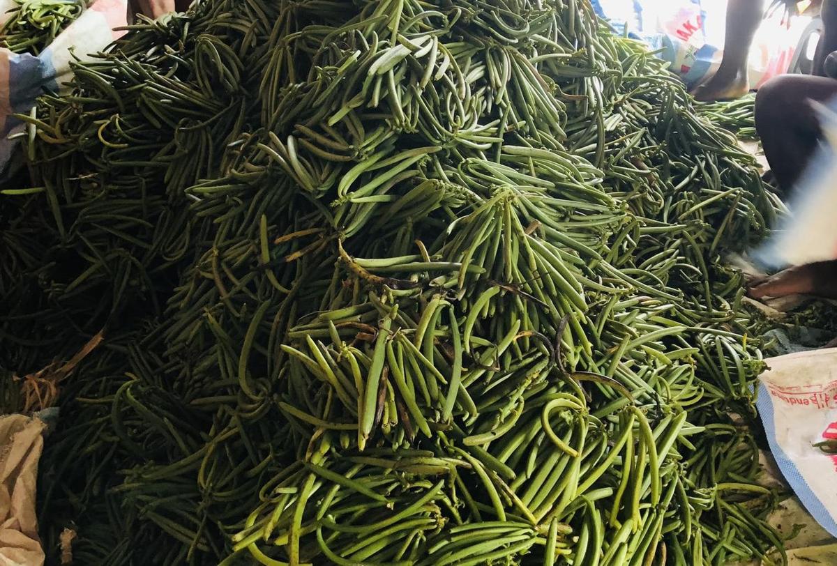 Vanille verte en vrac